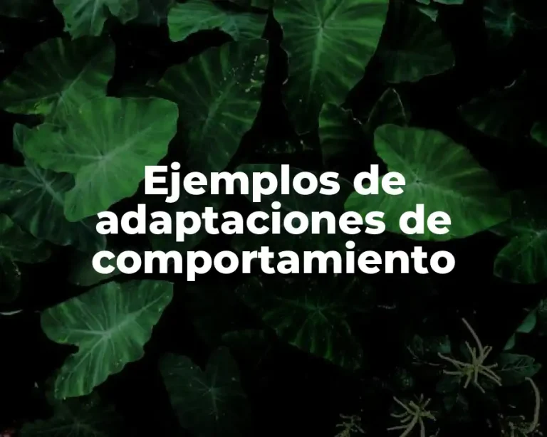 Ejemplos de adaptaciones de comportamiento
