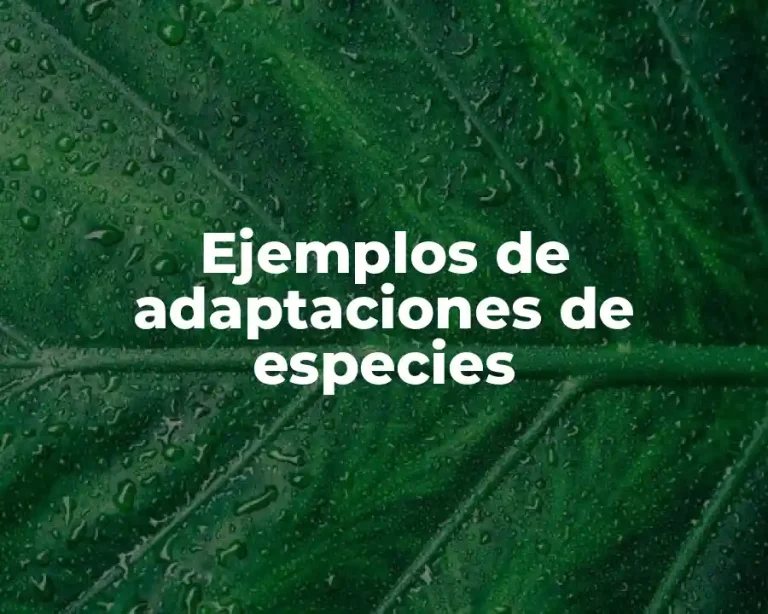 Ejemplos de adaptaciones de especies
