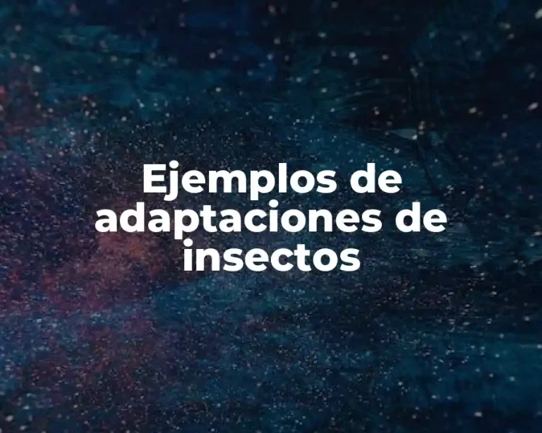 Ejemplos de adaptaciones de insectos