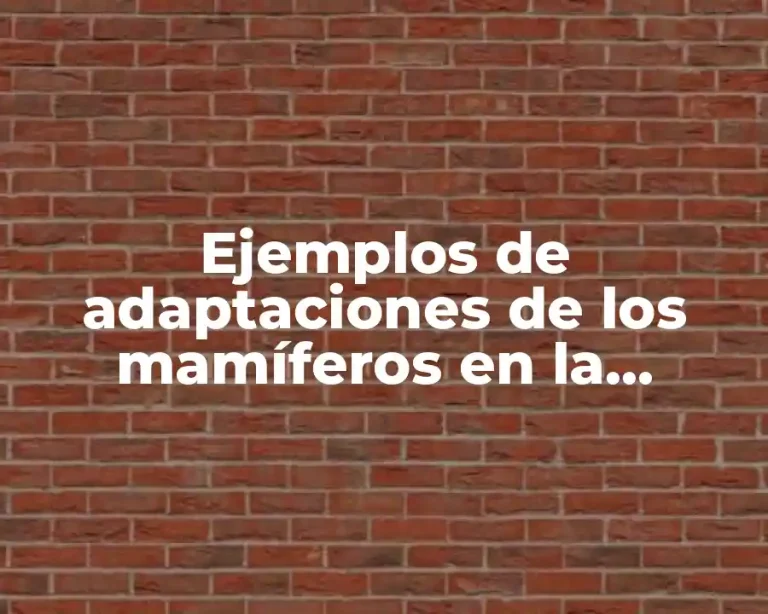 Ejemplos de adaptaciones de los mamíferos en la respiración