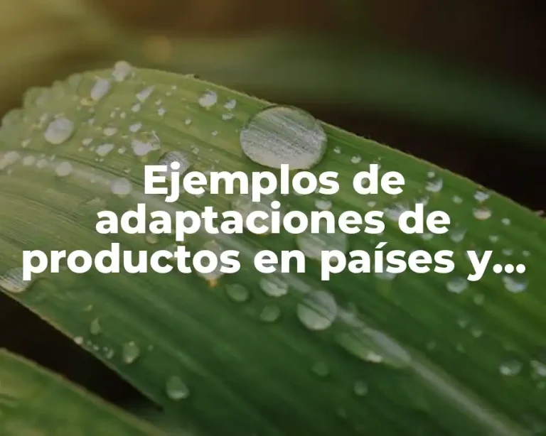 Ejemplos de adaptaciones de productos en países y Significado
