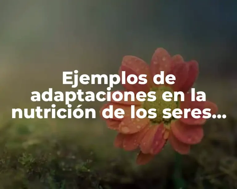 Ejemplos de adaptaciones en la nutrición de los seres vivos y Significado