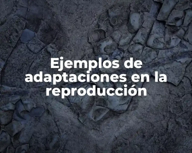 Ejemplos de adaptaciones en la reproducción
