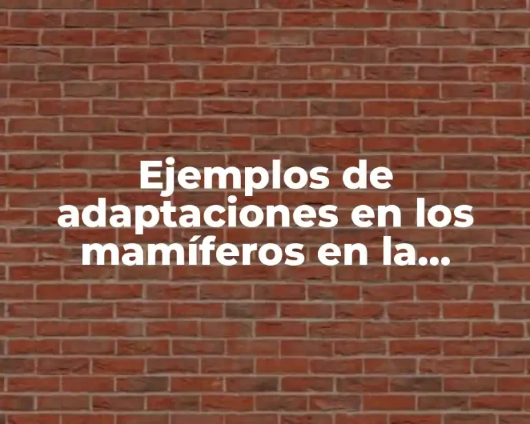 Ejemplos de adaptaciones en los mamíferos en la respiración