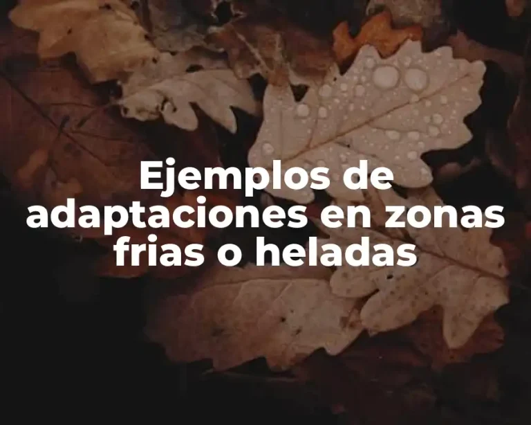 Ejemplos de adaptaciones en zonas frias o heladas