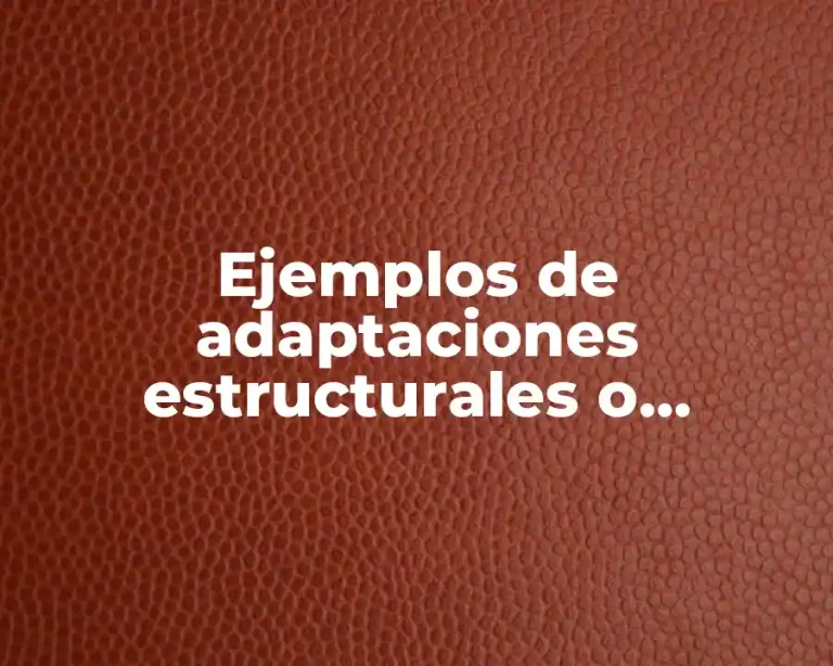 Ejemplos de adaptaciones estructurales o morfológicas