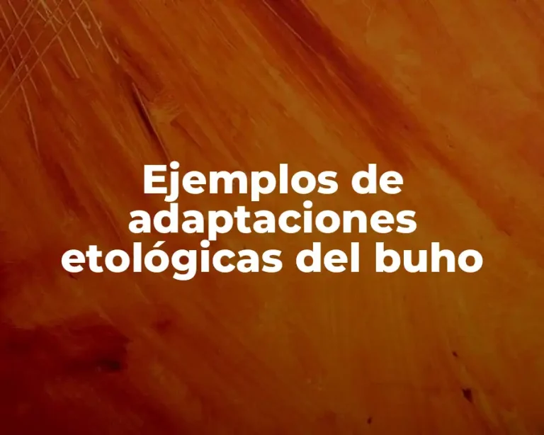 Ejemplos de adaptaciones etológicas del buho