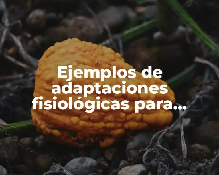 Ejemplos de adaptaciones fisiológicas para colorear