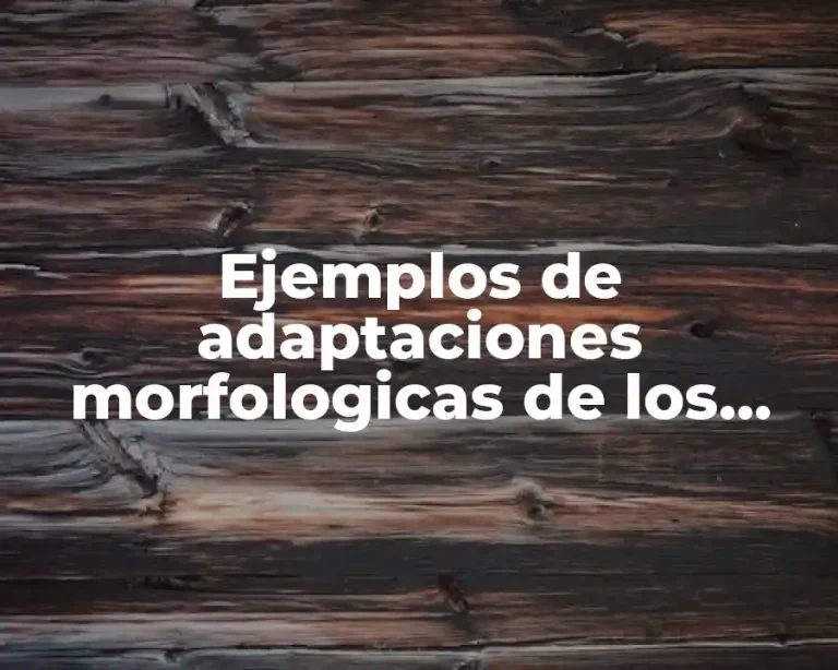 Ejemplos de adaptaciones morfologicas de los animales para su alimentación