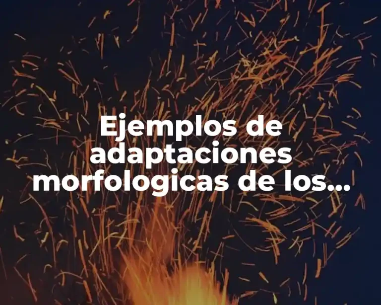 Ejemplos de adaptaciones morfologicas de los seres vivos