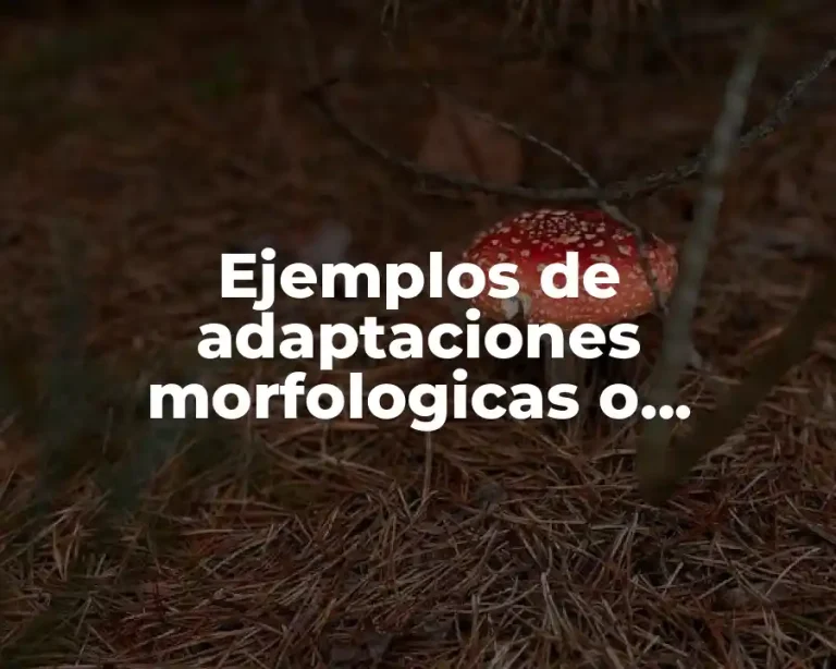 Ejemplos de adaptaciones morfologicas o estructurales