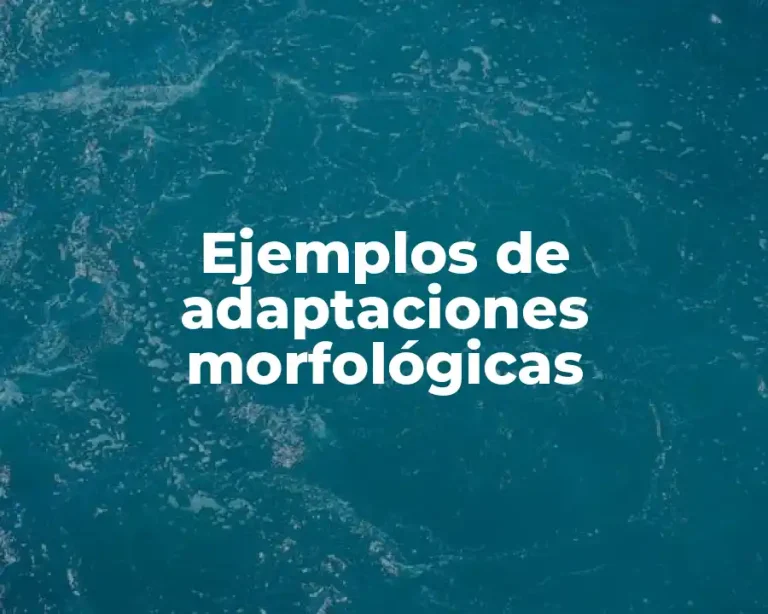 Ejemplos de adaptaciones morfológicas