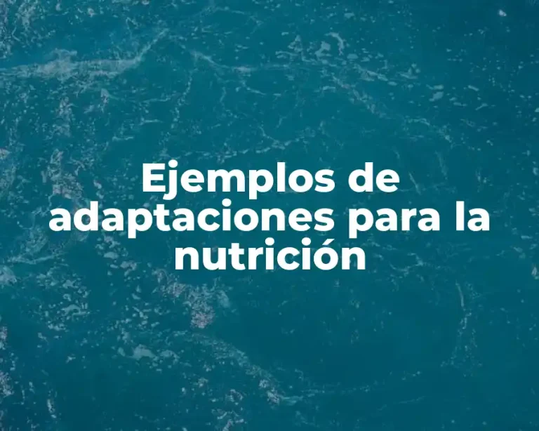 Ejemplos de adaptaciones para la nutrición