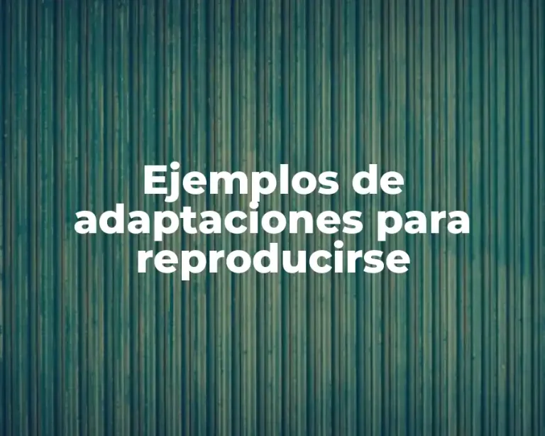 Ejemplos de adaptaciones para reproducirse