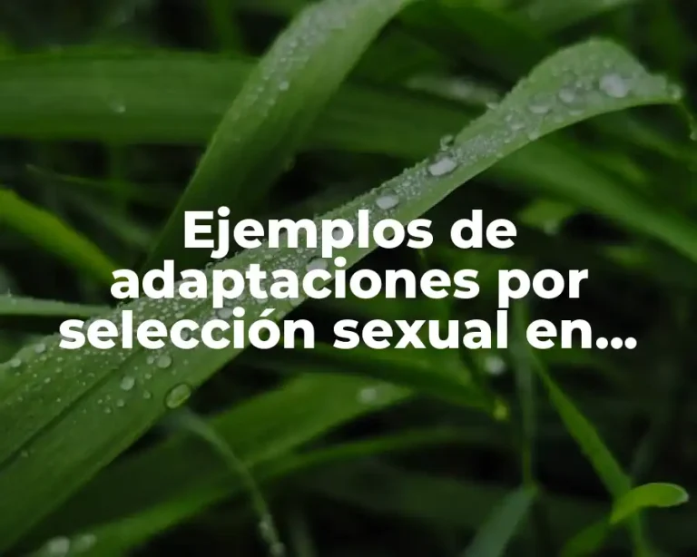 Ejemplos de adaptaciones por selección sexual en plantas