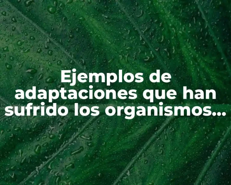 Ejemplos de adaptaciones que han sufrido los organismos para sobrevivir