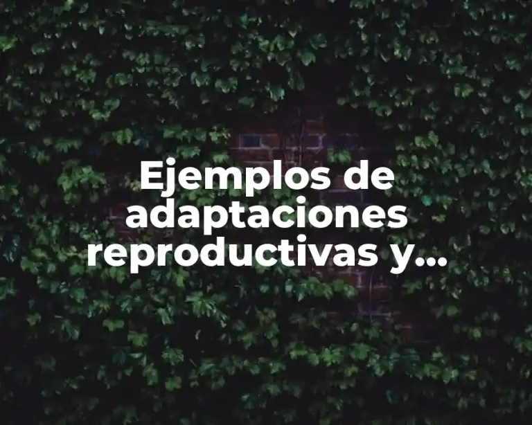 Ejemplos de adaptaciones reproductivas y Significado