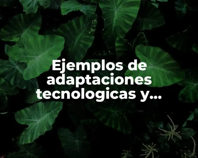 Ejemplos de adaptaciones tecnologicas y Significado