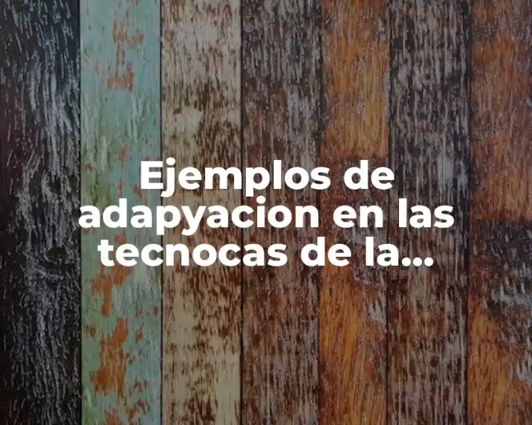Ejemplos de adapyacion en las tecnocas de la traducción