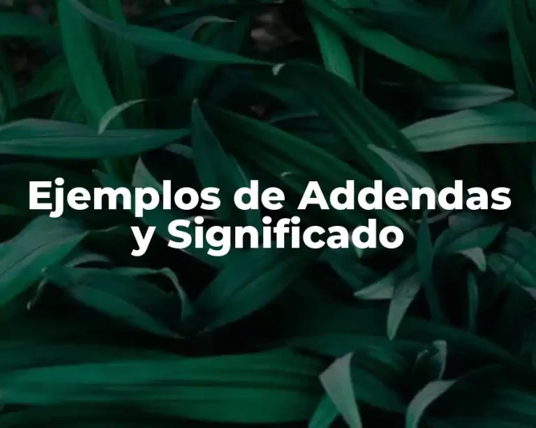 Ejemplos de Addendas y Significado