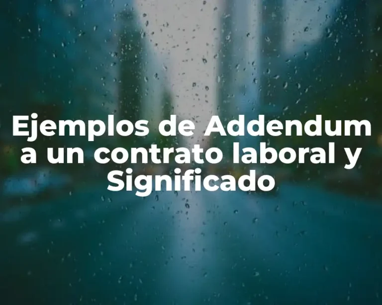 Ejemplos de Addendum a un contrato laboral y Significado