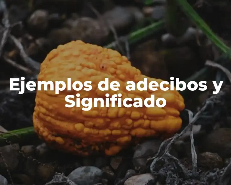 Ejemplos de adecibos y Significado