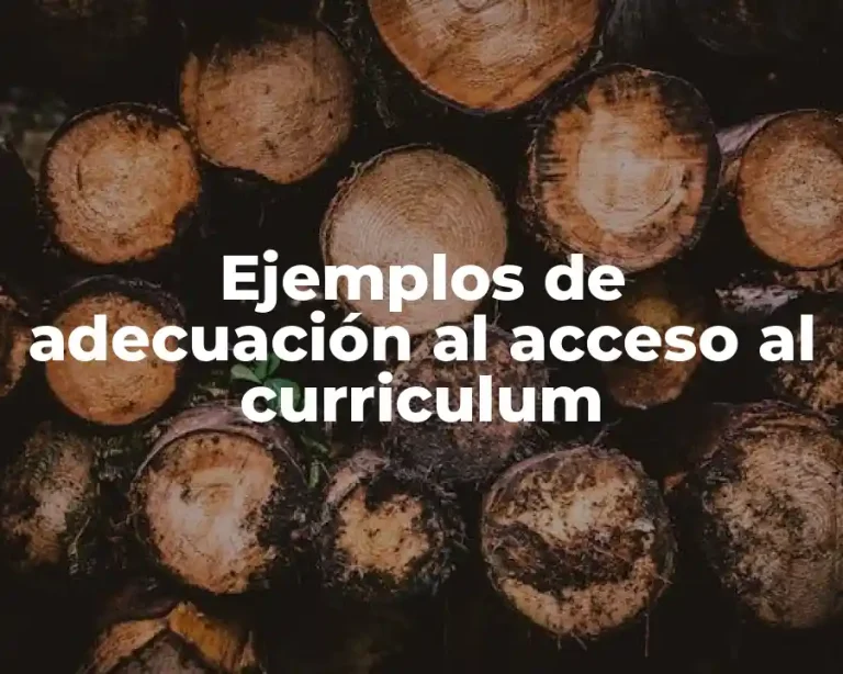 Ejemplos de adecuación al acceso al curriculum