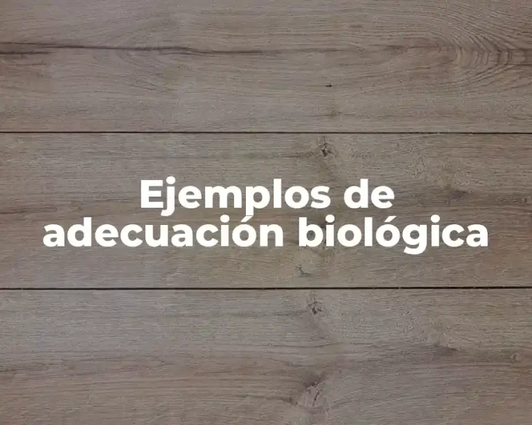 Ejemplos de adecuación biológica
