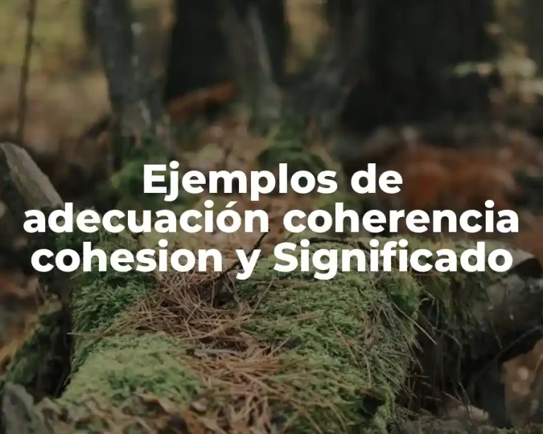 Ejemplos de adecuación coherencia cohesion y Significado