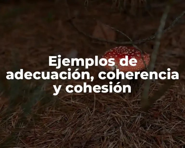 Ejemplos de adecuación, coherencia y cohesión