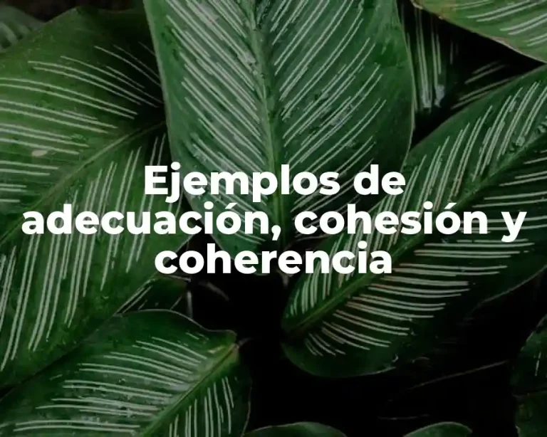 Ejemplos de adecuación, cohesión y coherencia