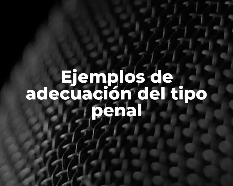 Ejemplos de adecuación del tipo penal