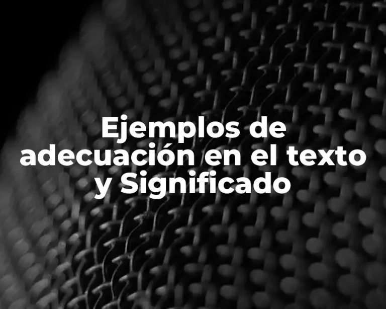 Ejemplos de adecuación en el texto y Significado