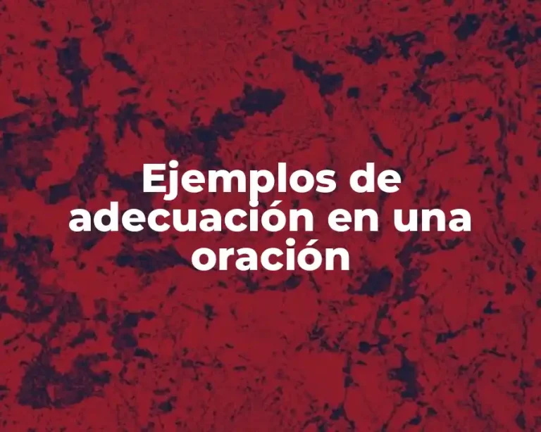 Ejemplos de adecuación en una oración