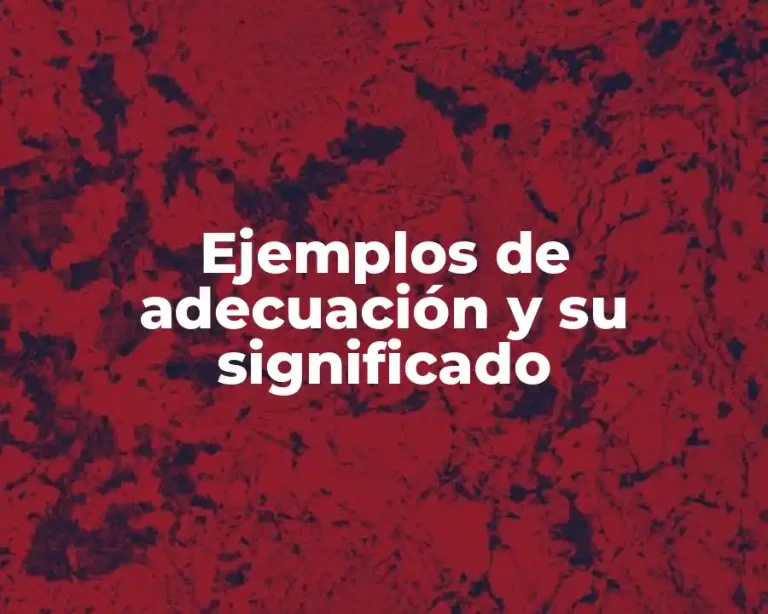 Ejemplos de adecuación y su significado