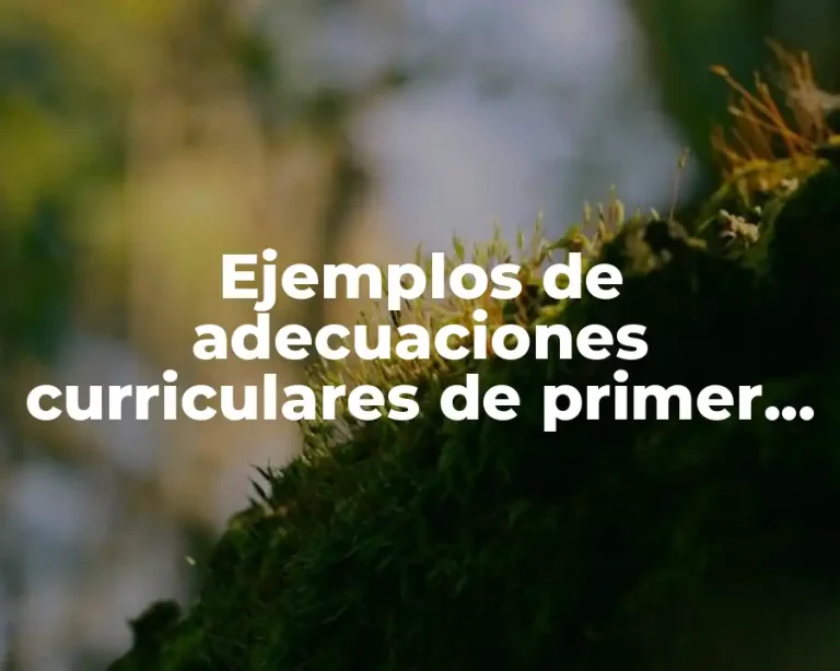 Ejemplos de adecuaciones curriculares de primer grado