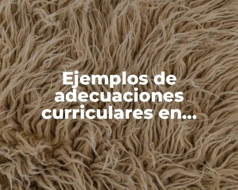 Ejemplos de adecuaciones curriculares en matemáticas y Significado