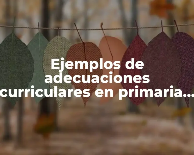 Ejemplos de adecuaciones curriculares en primaria matemáticas