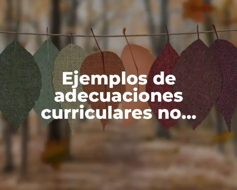 Ejemplos de adecuaciones curriculares no significativas