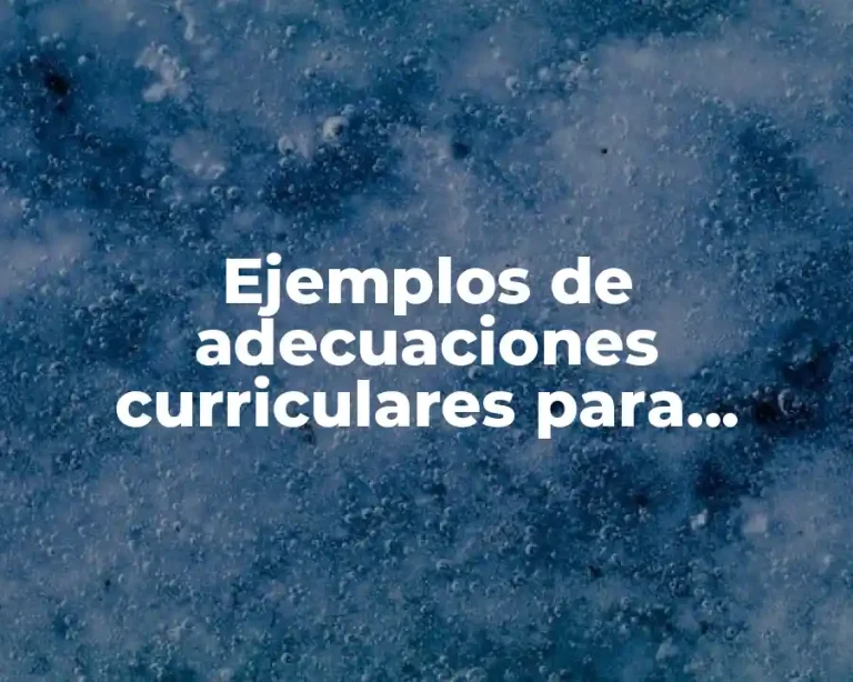 Ejemplos de adecuaciones curriculares para discapacidad intelectual