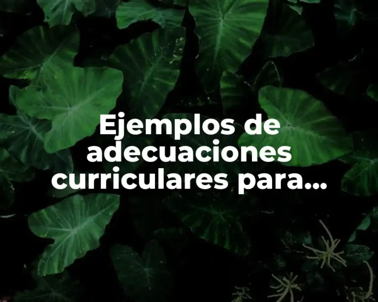 Ejemplos de adecuaciones curriculares para matemáticas primaria y Significado