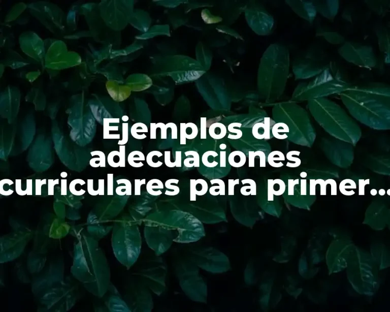 Ejemplos de adecuaciones curriculares para primer grado de primaria