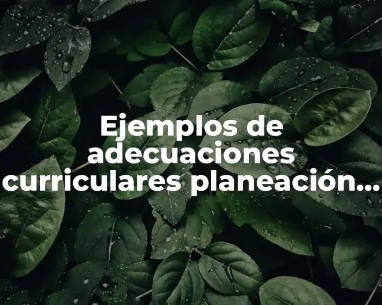 Ejemplos de adecuaciones curriculares planeación y seguimiento
