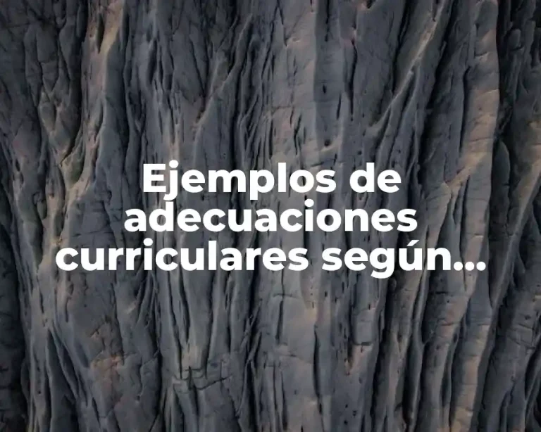 Ejemplos de adecuaciones curriculares según autores