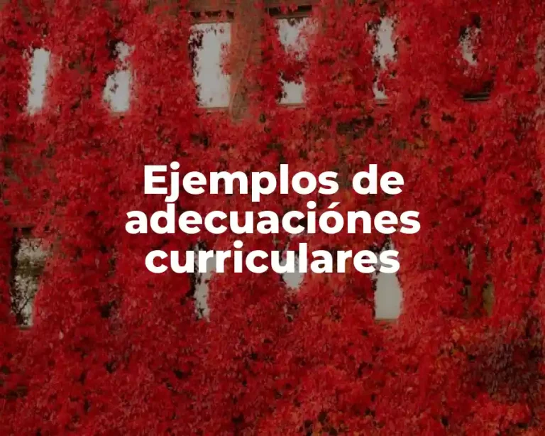 Ejemplos de adecuaciónes curriculares
