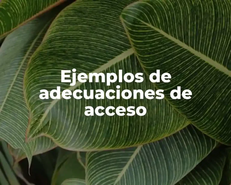 Ejemplos de adecuaciones de acceso