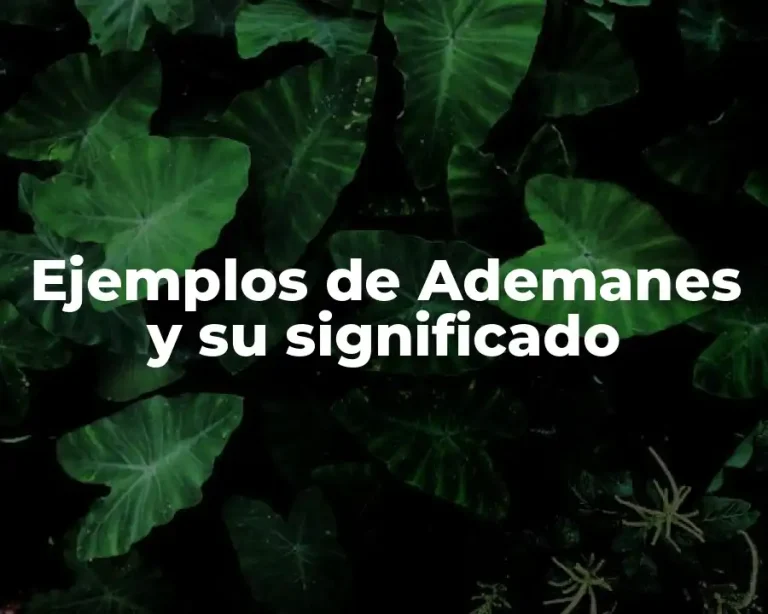 Ejemplos de Ademanes y su significado