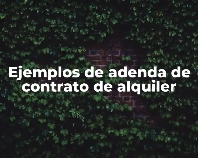 Ejemplos de adenda de contrato de alquiler