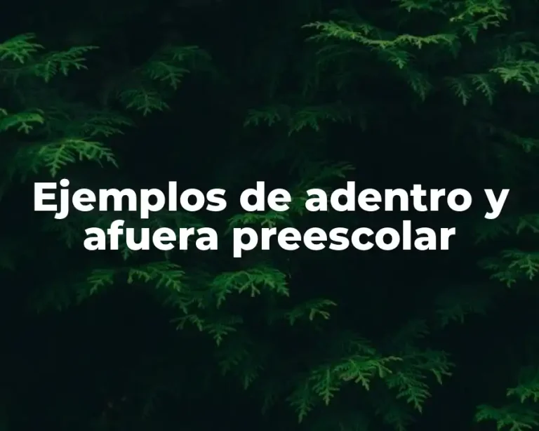 Ejemplos de adentro y afuera preescolar