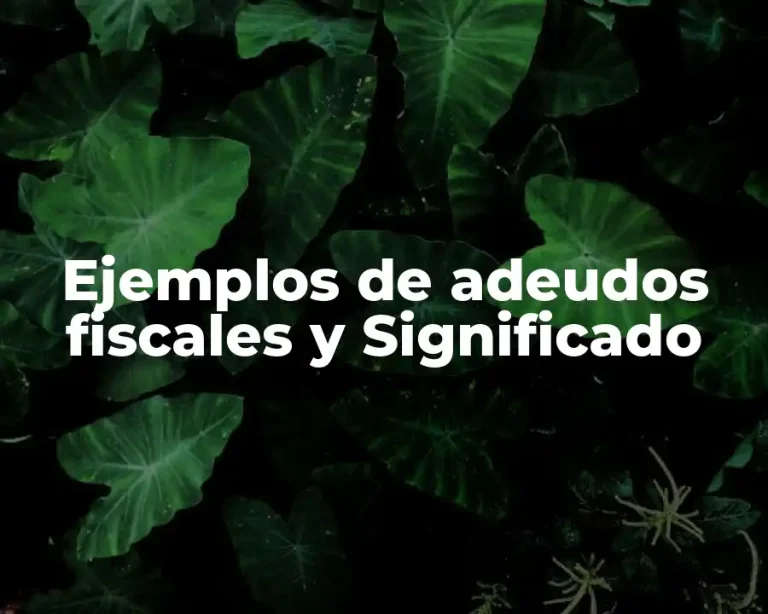 Ejemplos de adeudos fiscales y Significado